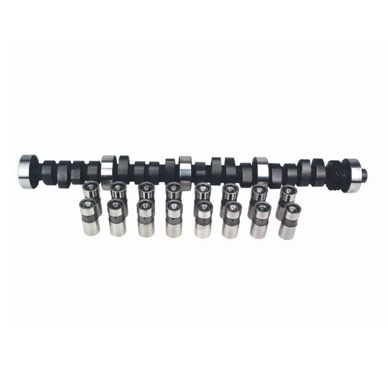 Lunati 10310205Lk High-Performance Hydraulic Roller Lifters – Replacement Set 1